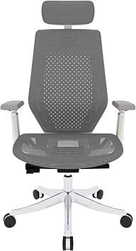 Flexispot OC11 (Ergonómica)